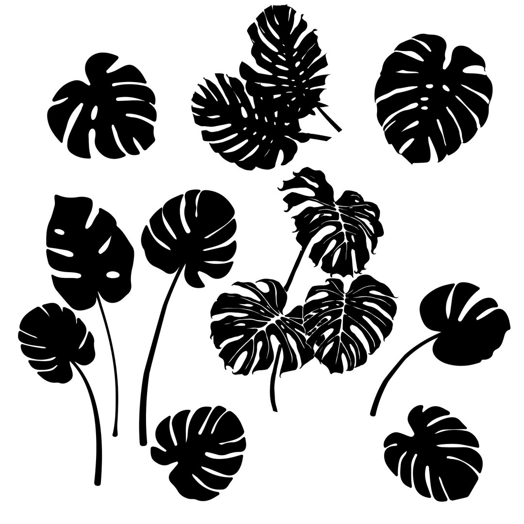Monstera Leaf SVG, EPS, DXF, Digital Cut and Engrave Files for