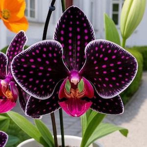 May include: A rustic wooden sign with the text "Welcome to our home" in white lettering. The sign features a distressed finish and a simple, inviting design, perfect for entryway decor.