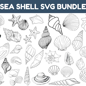 Seashell SVG Bundle: Beach Shells Cut Files (Digital Download)