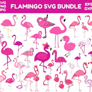 Flamingo SVG Bundle: Cut Files for Cricut, Silhouette (Digital Download