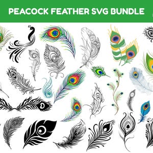 孔雀のベクター バンドル、孔雀の svg、孔雀の羽の svg、Cricut カット ファイル、Cricut 孔雀のファイル、孔雀のクリップアート、孔雀の EPS、孔雀の jpg