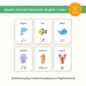 Könnte beinhalten: Lernkarten mit Abbildungen von Wassertieren wie Delfinen, Fischen und Walen. Jede Karte zeigt den Namen des Tieres auf Englisch und Urdu. Das Set enthält 17 Karten und dient dem Aufbau des täglichen Wortschatzes.