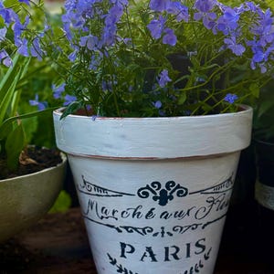 Beautiful vintage, cottage terracotta planters.