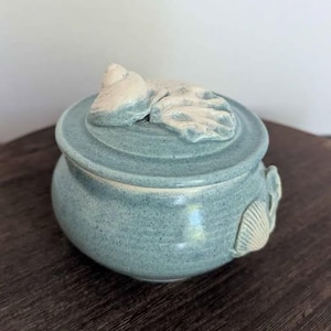 May include: A small, round, blue-green ceramic jar with a lid. The lid is adorned with a white, leaf-shaped design. A white seashell design is on the side of the jar. The jar is sitting on a dark brown wooden surface.