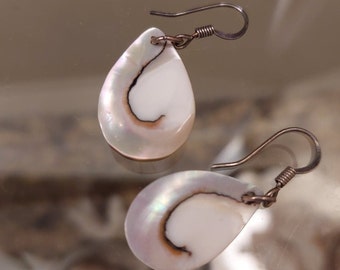 Nautilus Shell Earrings