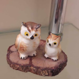 Può includere: Due statuine di gufo in ceramica, una più grande dell'altra, posate su una fetta di legno. I gufi sono bianchi con segni marroni e occhi gialli.
