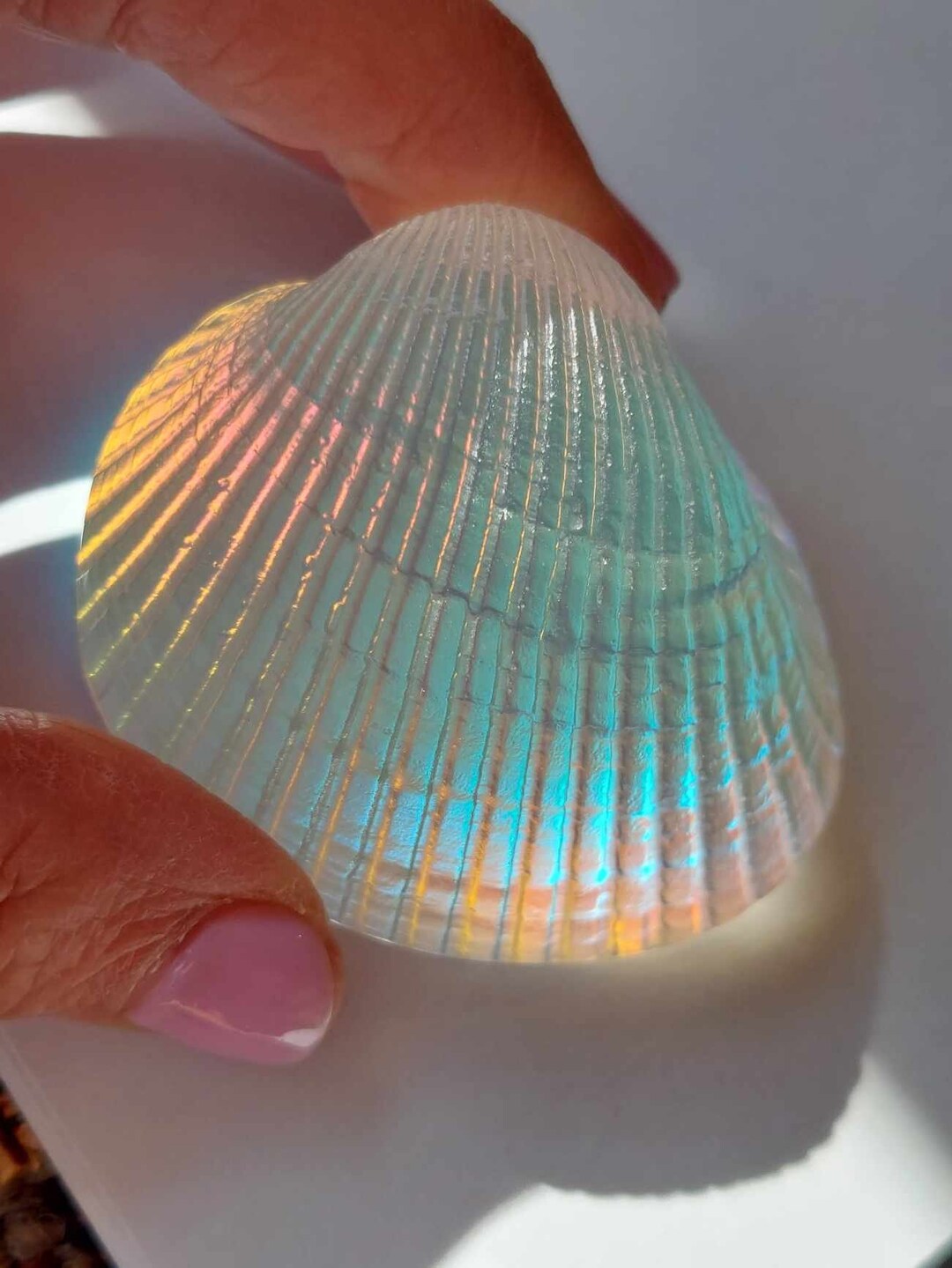 Crystal Glass Sea Shell Paperweight - Etsy