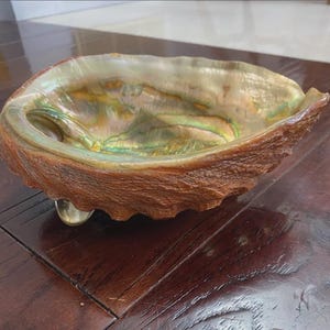 May include: A polished abalone shell bowl featuring a rough, textured brown exterior and a smooth, iridescent interior with swirling shades of green, gold, and pearlescent white. The shell is supported by small, rounded, translucent feet.