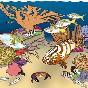 Paysage marin de récif de corail | PNG et arrière-plan océaniques peints à la main | Biologie marine, éducation et art scientifique | LysOcéanArt