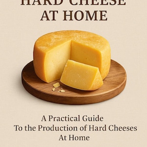 How to Make Cheese at Home