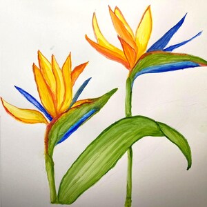 Ave del Paraíso - flor pintada a mano en acuarela