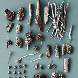 Ritrovamenti unici nella foresta: un pacchetto di artigianato "Tesoro" con decorazioni per ghirlande, artigianato con bambini, famiglia, scuola, natura, KIT, casa di riposo, decorazioni per ristoranti