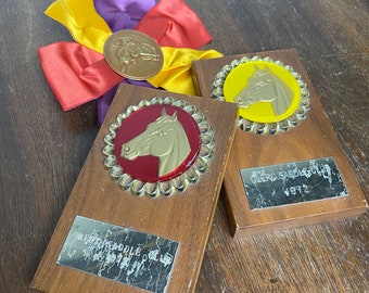 1970’s horse trophies and ribbon