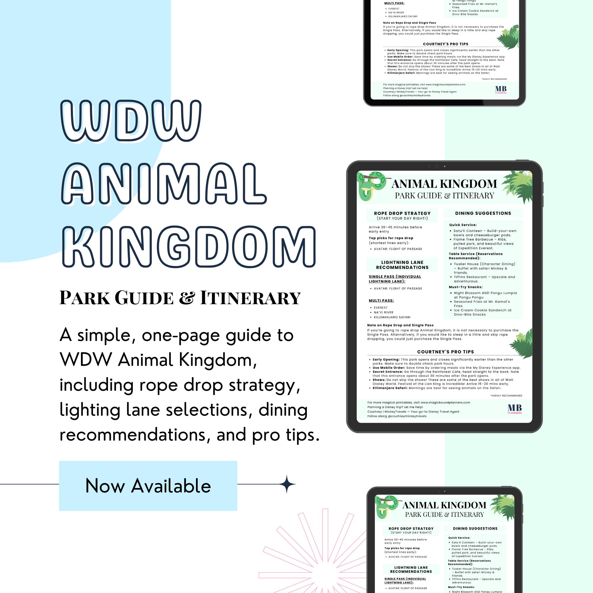 Animal Kingdom Itinerary