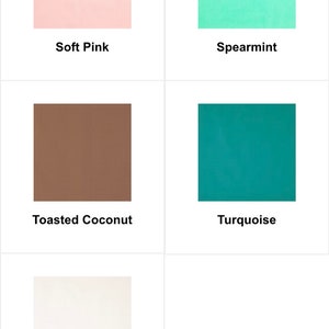 May include: A color palette featuring five solid color swatches: Soft Pink, Spearmint, Toasted Coconut, Turquoise, and White. Each color is displayed in a square with the color name below it. Ideal for design inspiration or color selection.