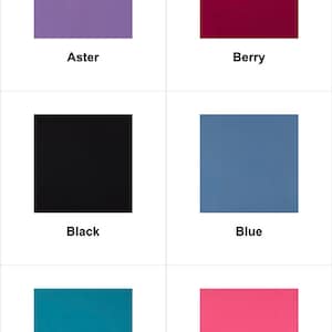 May include: A collection of color swatches, each a solid square. Colors include Aster, Berry, Black, Blue, Blue Turquoise, and Bright Pink. Each swatch has a color name printed below it in a sans-serif font.