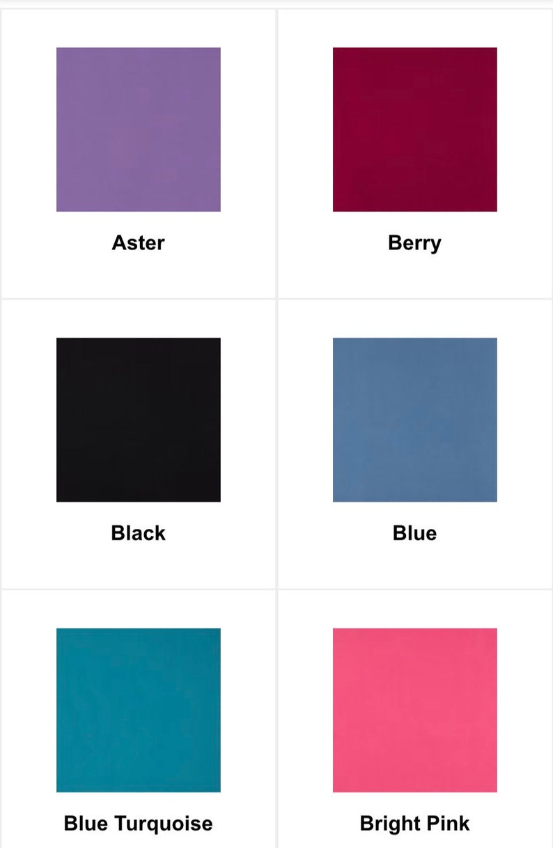 May include: A collection of color swatches, each a solid square. Colors include Aster, Berry, Black, Blue, Blue Turquoise, and Bright Pink. Each swatch has a color name printed below it in a sans-serif font.