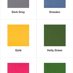 May include: A color palette featuring six solid color swatches: Dark Gray, Dresden, Gold, Holly Green, Hot Pink, and Kelly Green. Each color is displayed in a square against a white background, with the color name below.