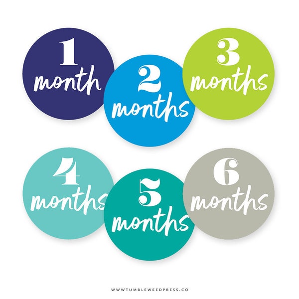 Baby Month Printable Stickers, Baby Milestone Stickers Printable, Baby Monthly Age Stickers, Baby Growth Printable (Ocean Design)