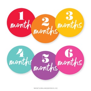 Baby Month Printable Stickers, Baby Milestone Stickers Printable, Baby Monthly Age Stickers, Baby Growth Printable, 1-12 months, Photo Prop