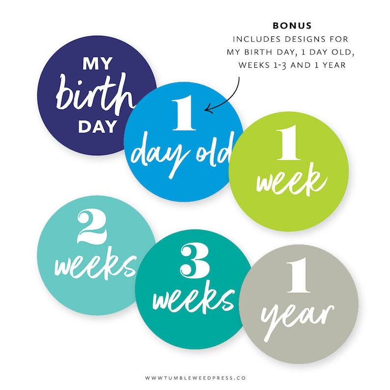 Baby Month Printable Stickers, Baby Milestone Stickers Printable, Baby ...