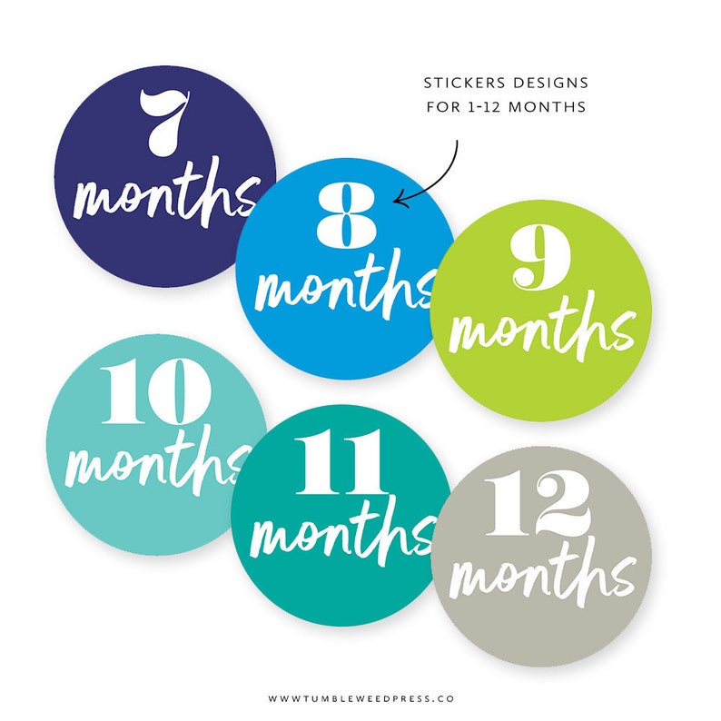 Baby Month Printable Stickers, Baby Milestone Stickers Printable, Baby ...