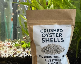 Conchas de ostra trituradas: suplemento natural de calcio para aves de corral, acuarios y jardines.