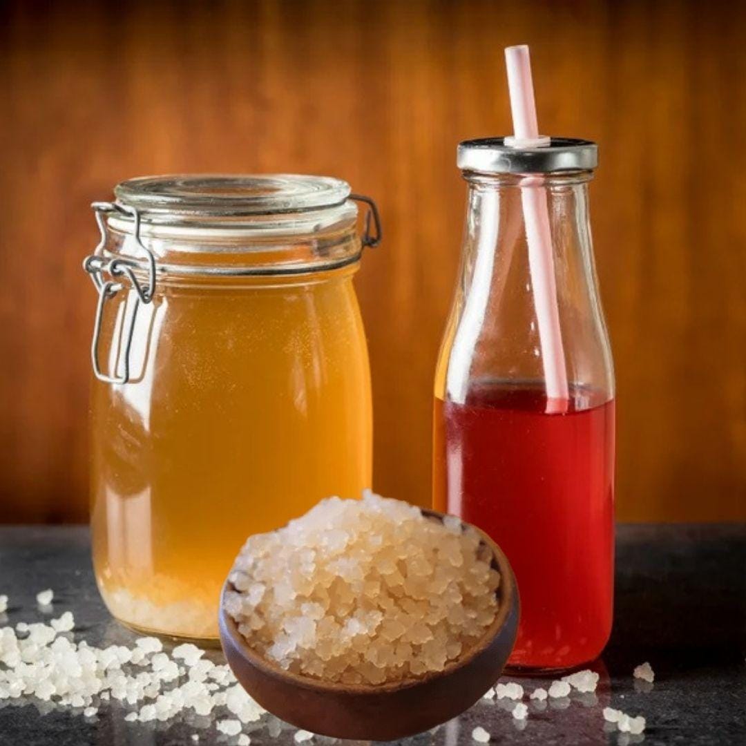 Tibicos for water kefir (10g) Organic culture for fermenting probiotic drink