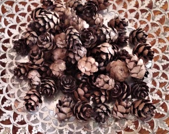 Mini Pinecones, natural winter decor and craft supply