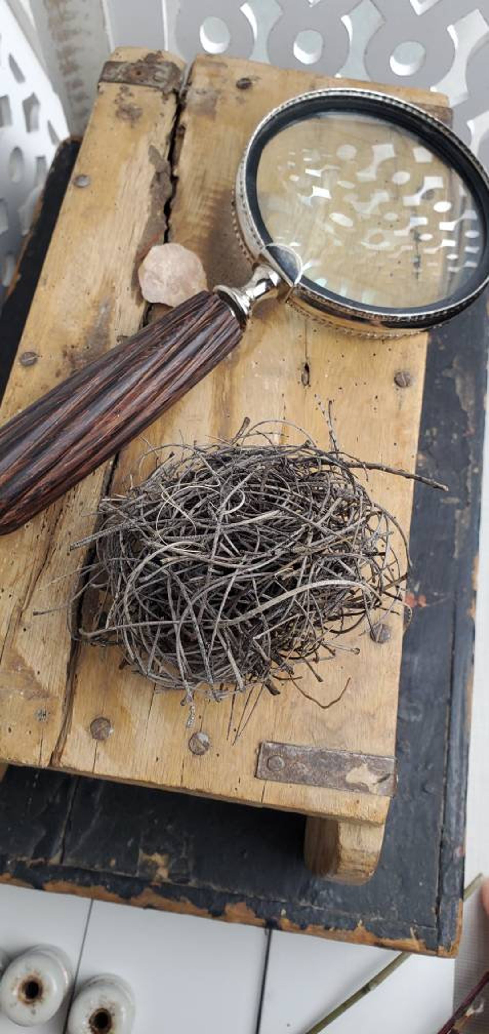 Natural Dried Twigs Nest Pine Needles Nest Etsy