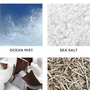 May include: Key notes for a fragrance with ocean mist, sea salt, coconut, and white tea scents. The image shows close-up photos of each ingredient.