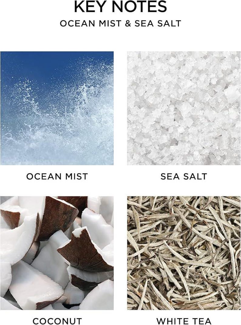 May include: Key notes for a fragrance with ocean mist, sea salt, coconut, and white tea scents. The image shows close-up photos of each ingredient.