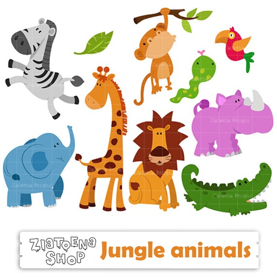 Zoo Tiere Clipart Dschungel Tiere Digitale Safari Clip Art Zoo Etsy