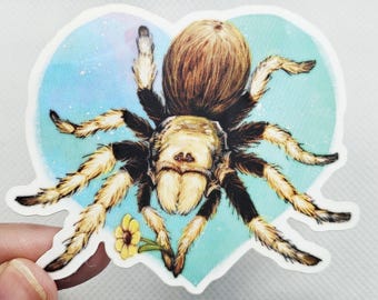 Może przedstawiać: Naklejka przedstawiająca szczegółową ilustrację pająka tarantuli. Pająk jest brązowy i beżowy z czarnymi akcentami, na tle w kształcie serca z niebieskimi i fioletowymi efektami akwareli. Zawiera mały żółty kwiat.