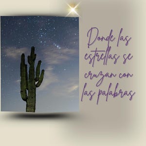 Plantillas de Instagram Astrológicas - 70 publicaciones editables en Canva
