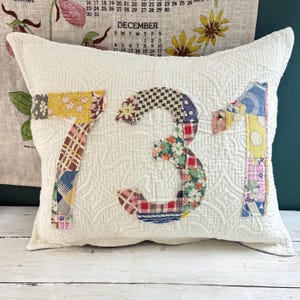 Custom Vintage Quilt Area Code Pillow - Stuffed Accent Pillow - Vintage Upcycled Feed Sack Quilt Top Applique Colorful