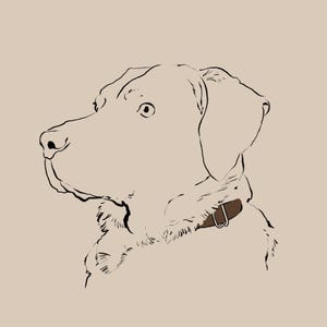 Custom Hand-Drawn Minimalist Pet Portrait