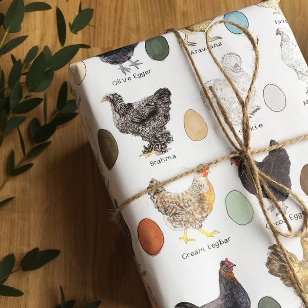 Rainbow Egg Layer Chicken themed wrapping paper, a pack of 2 sheets