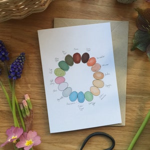 Regenbogen Eier Grußkarte, Huhn Grußkarte, Vogelei Kunst, Osterkarte, Henne Themenkarte, Huhn Karte