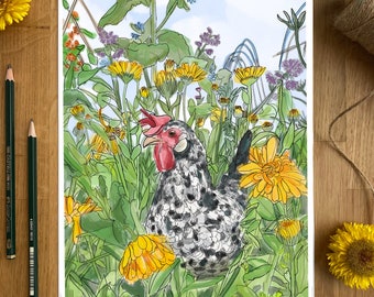 Snowy in the Calendula Bed, chicken Art Print
