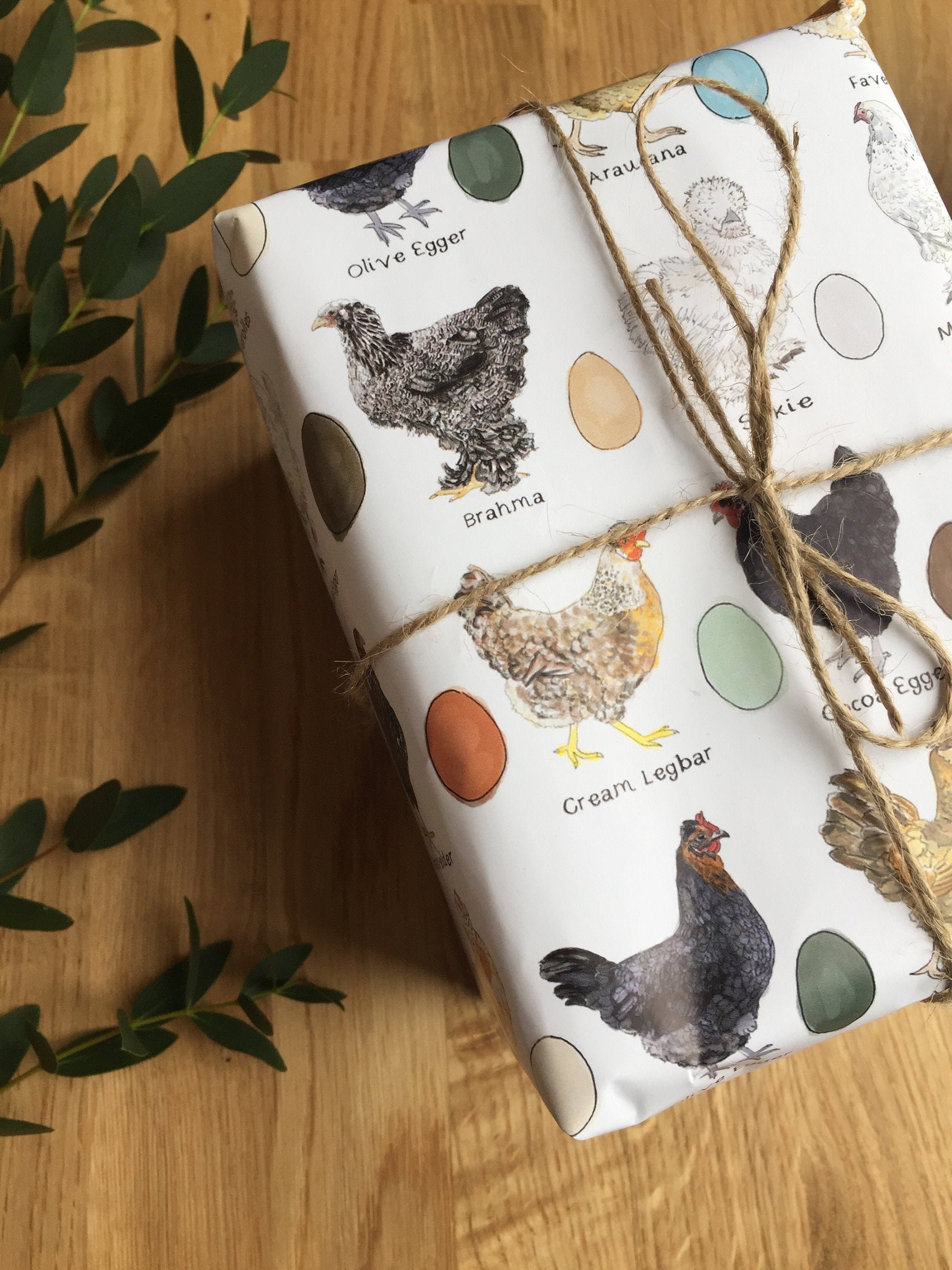 Rainbow Egg Layer Chicken Themed Wrapping Paper a Pack of 2