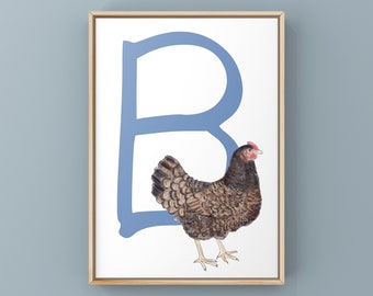 Chicken Alphabet Art Print, the letter B for Barnevelder