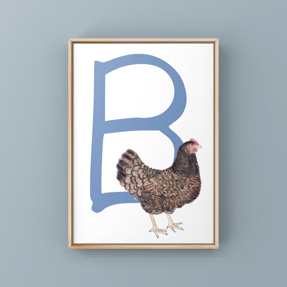 Chicken Alphabet Art Print the letter B for Barnevelder Etsy