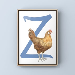 Impressão artística do alfabeto de frango, a letra Z para Zottegem Campine Chicken, Hen Art, presente temático de galinha