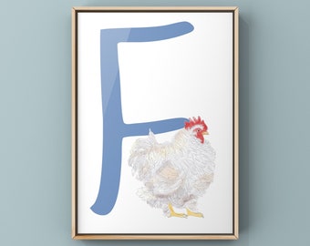 Op de afbeelding: Een blauwe letter F met een witte kip ernaast. De kip heeft een rode kam en rode keellapjes.
