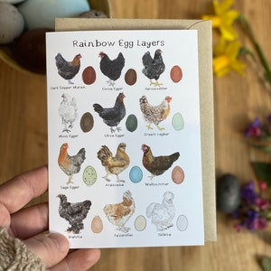 Rainbow Egg Layers Greetings Card, Chicken Card, Chicken gift, Easter Card, Bird Card, Hen Card, Chicken themed Gift image 1