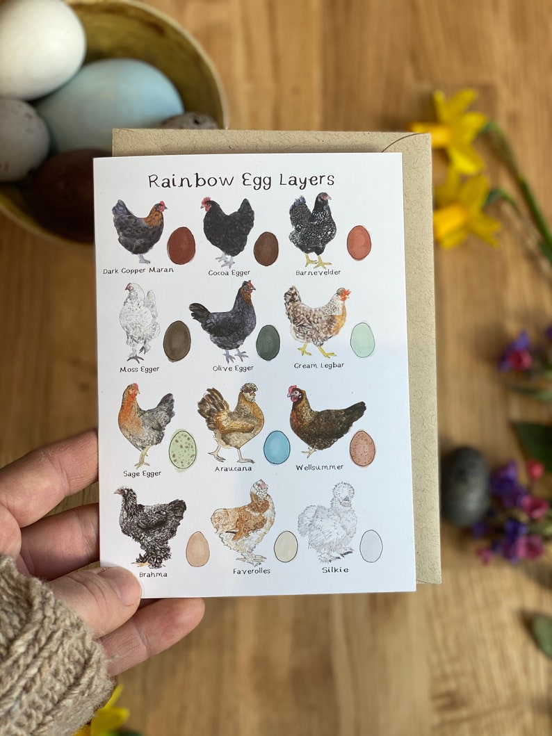 Rainbow Egg Layers Greetings Card, Chicken Card, Chicken gift, Easter Card, Bird Card, Hen Card, Chicken themed Gift image 1