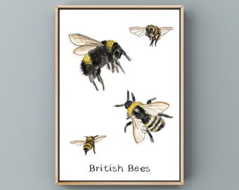 British Bee Art Print