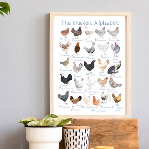 A Impressão de Arte do Alfabeto de Frango, Impressão de Arte de Frango, Presente com tema de galinha, Presente com tema de galinha, Arte de animais de fazenda, Arte de berçário de galinha.
