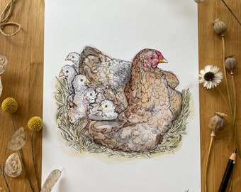 Hen and Chicks Art Print, Chicken Artwork, Mother Hen Art